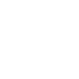 ウェブ開発